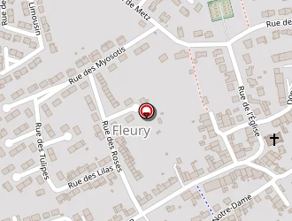 Carte de Auberge Fleurie à Fleury