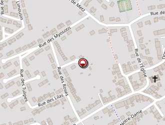 Carte de Stade Des Tilleuls à Fleury