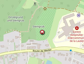 Carte de Didi Créations à Wissembourg