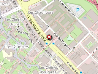 Carte de Lotus D'asie à Cergy