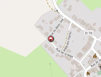 Carte de Taxi Sylvain à Lelling