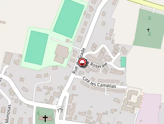 Carte de Lecat Thierry à Saint-amand