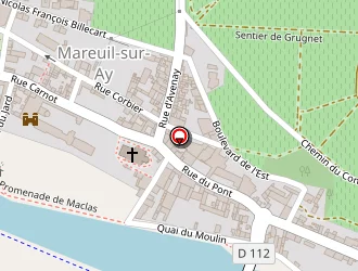 Carte de Danteny Patrick à Mareuil-sur-ay