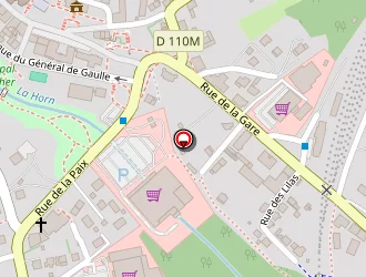 Carte de Lycée Collège Saint Augustin à Bitche