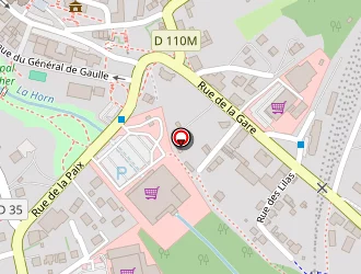 Carte de Piscine Municipale à Bitche