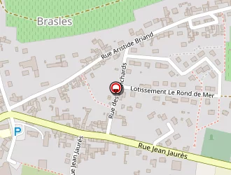 Carte de Dechelle Henri à Brasles