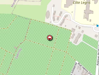 Carte de Diagnostic à Épernay