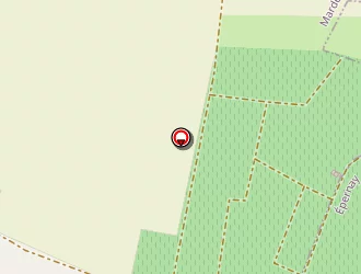 Carte de Champagne Morin à Épernay