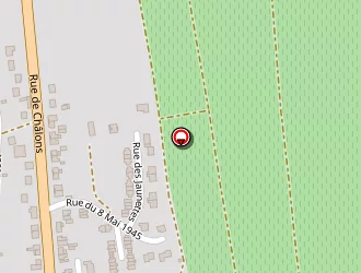 Carte de Terrain Des Jaunettes à Crézancy