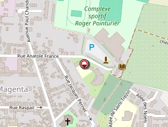 Carte de Sainzelle Aléxis à Magenta