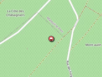 Carte de Ecole Primaire à Festigny