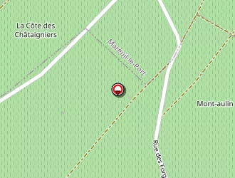 Carte de Urgence (services Locaux) à Festigny