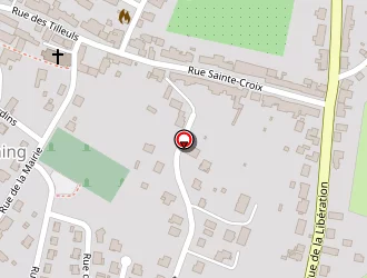 Carte de Sg Laser à Petit-réderching