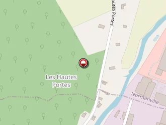 Carte de Petit Jocelyne à Gravigny