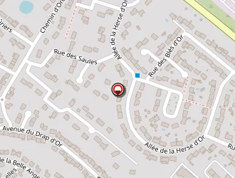 Carte de Micaud Alexandre à Dammartin-en-goële