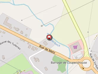 Carte de Foegel Daniel à Puttelange-aux-lacs