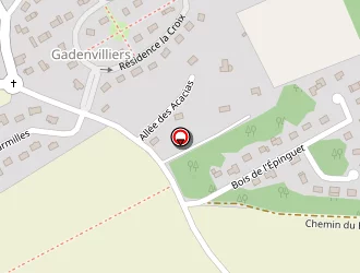 Carte de Petel Damien à Aviron