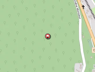 Carte de Pinto Thierry à Port-villez