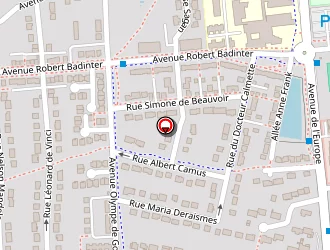 Carte de Dtl Securite Privee à Dammartin-en-goële