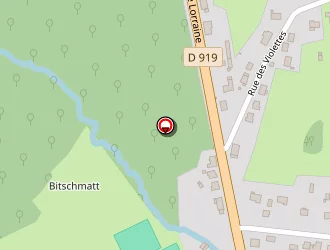 Carte de Ecole Primaire à Siltzheim