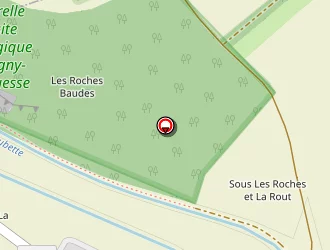 Carte de Quod Elodie à Longuesse