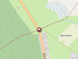 Carte de Muller Brigitte à Siltzheim