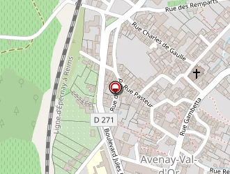 Carte de Ribourtout Jean Paul à Avenay-val-d'or