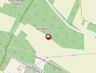 Carte de Caraes Patrick à Osny