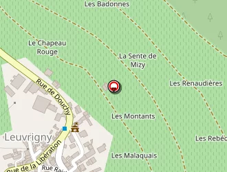 Carte de Mairie à Leuvrigny