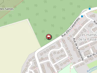 Carte de Zivanovic Michel à Jury