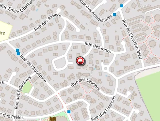 Carte de Faure Gerlande à Metz