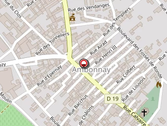 Carte de Flon Géraldine à Ambonnay