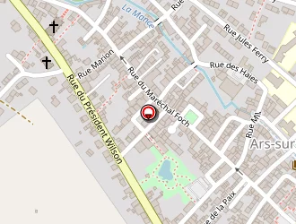 Carte de Steinkamp André à Ars-sur-moselle