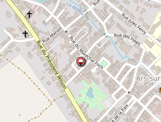 Carte de Didier Solene à Ars-sur-moselle