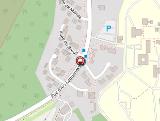 Carte de Cornet Stéphane à Jury