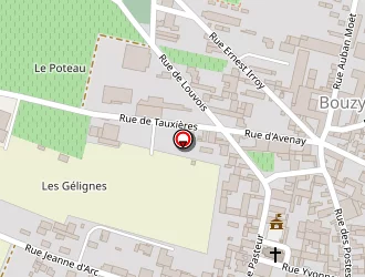 Carte de Le Salon à Bouzy