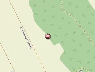 Carte de Diapason Amo à Auvers-sur-oise