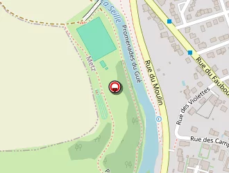 Carte de Federation Moselle Pour Peche à Metz