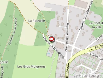 Carte de Florin Michel à Boissy-l'aillerie