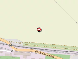 Carte de Mangin Elec à Valmy