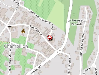 Carte de Marques De Oliveira Gérard à Champillon