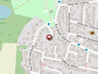 Carte de Reau Julien à Marly-la-ville