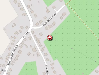 Carte de Transmat Flauder à Sarreinsming