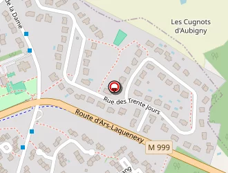 Carte de Maraldi Annie à Metz