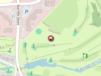 Carte de B S Robsim à Metz