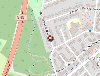 Carte de Rushiti Brahim à Metz