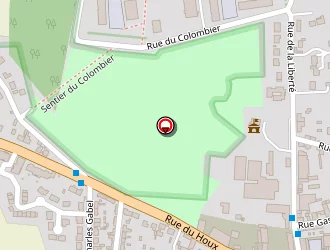 Carte de Gmc à Survilliers