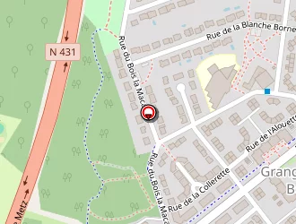 Carte de Fenot Grégorie à Metz