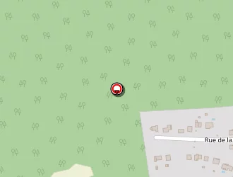 Carte de Koenig Charles à Saint-avold