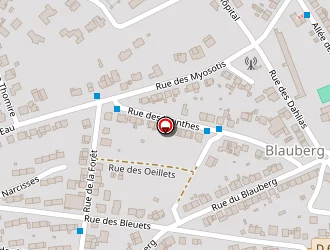 Carte de Asps à Sarreguemines